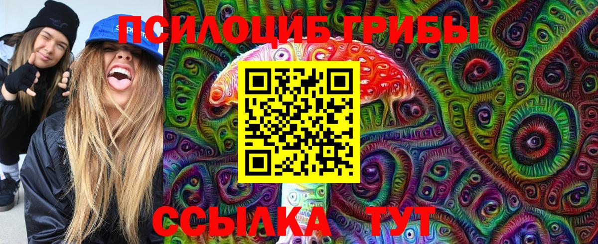 Псилоцибиновые грибы Cubensis Новороссийск