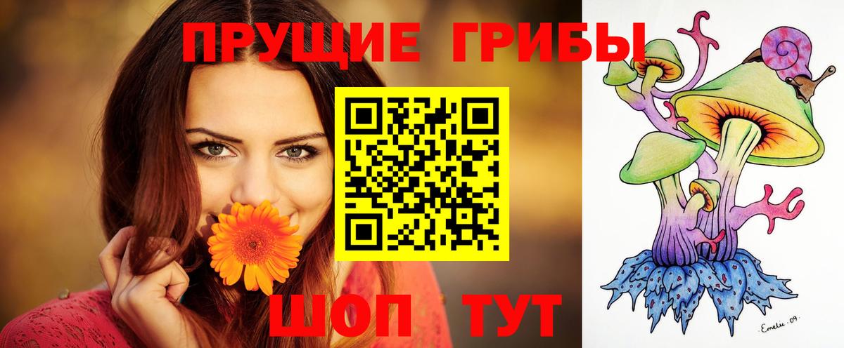 Галлюциногенные грибы ЛСД  Псилоцибиновые грибы прущие грибы  Новороссийск  Вход с VPN 